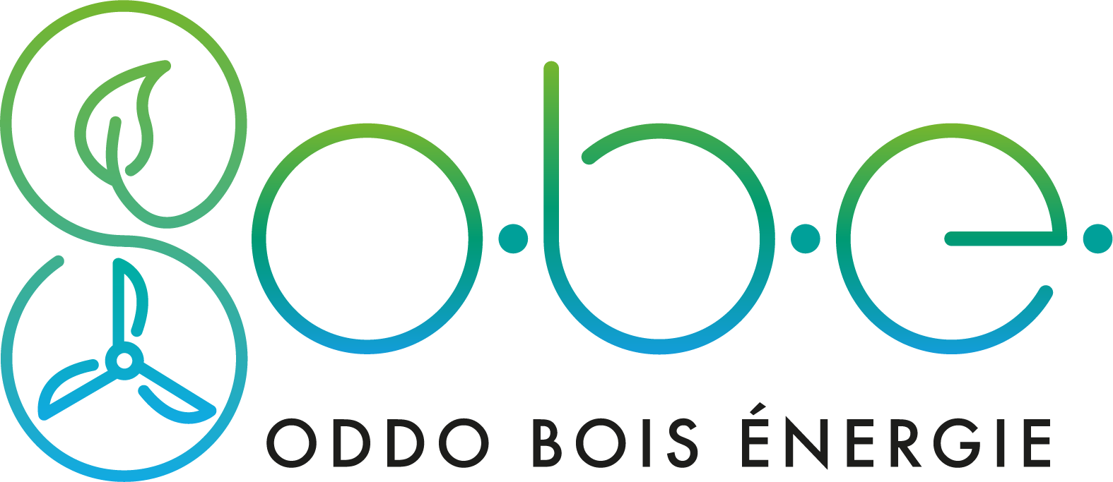 Oddo-Bois-Energie